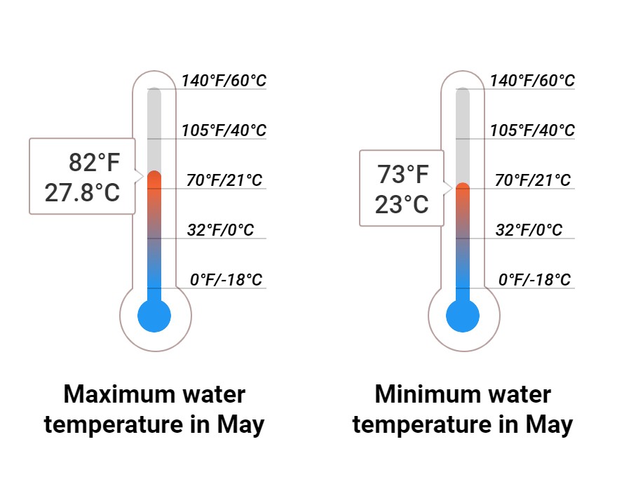 Average Sea temperature